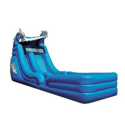 gaint dolphin inflatable slide
